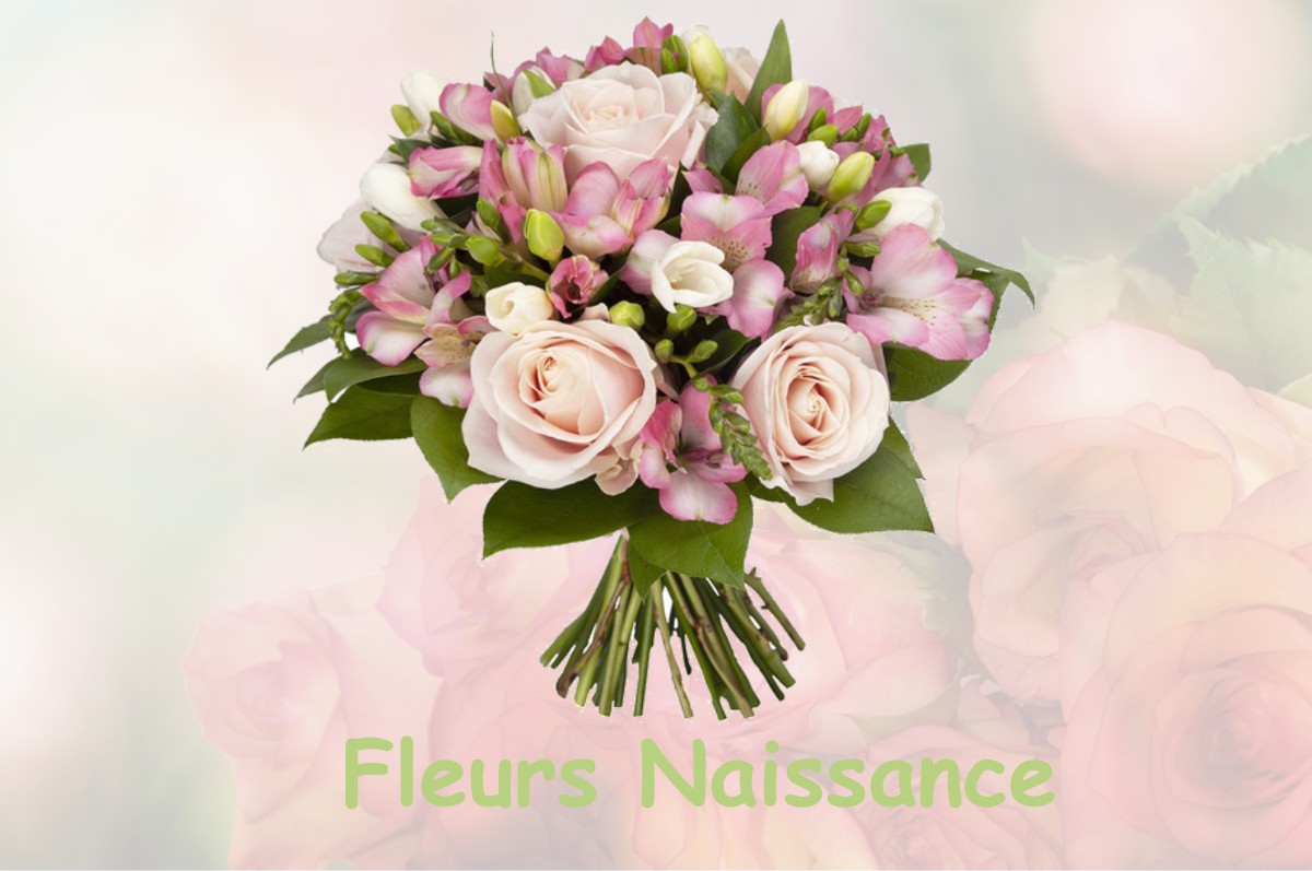 fleurs naissance PINSAGUEL