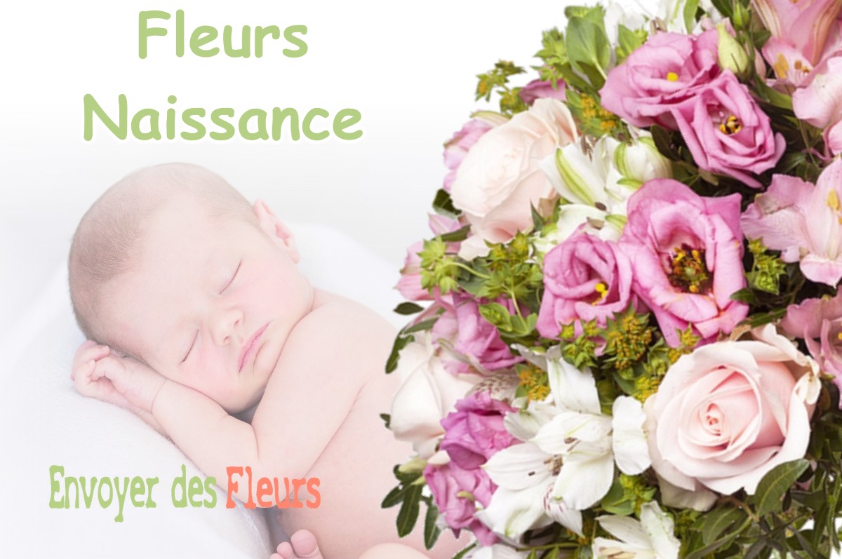 lIVRAISON FLEURS NAISSANCE à PINSAGUEL